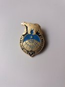 Значок "Арктикуголь Шпицберген"