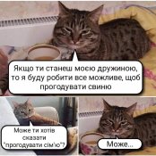 изображение_viber_2021-02-10_13-06-23.jpg