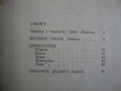 Б.Слободянюк "Весняні грози"