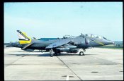 Harrier3.jpg