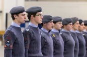 Шеврон Бриты  RAF Air