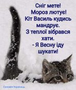 изображение_viber_2021-02-12_12-01-39.jpg