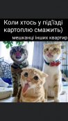 изображение_viber_2021-02-12_14-36-16.jpg