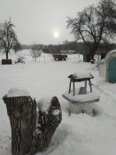 IMG_20210213_082432.jpg