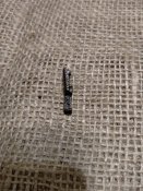 Выбрасыватель СВТ (1)