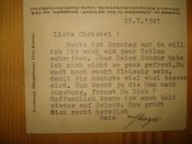 Brauner2.jpg
