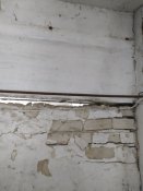 IMG_20210215_084836.jpg