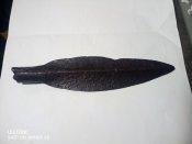 наконечник копья