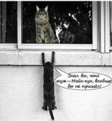 изображение_viber_2021-02-15_20-27-15.jpg