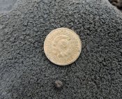 DSCN8444.JPG