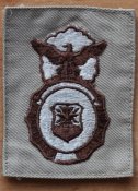 Нашивка USAF Security Forces Badge
