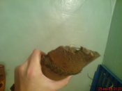 DSC00803.jpg