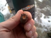 170320132382.jpg