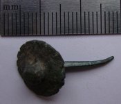 DSC04960.JPG