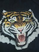 IMG_20210219_171439.jpg