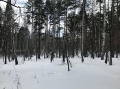 IMG_3085.JPG