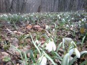 Photo0223.jpg