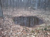 Photo0225.jpg