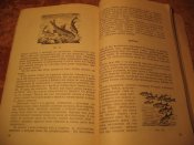 Советы молодому рыболову 1956г