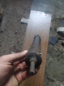 IMG_20210222_164429.jpg
