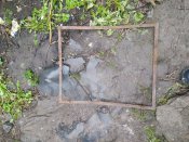 IMG_20201229_120545.jpg