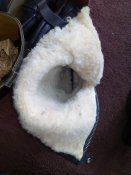IMG_20210223_121609.jpg