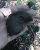 IMG0397A.jpg