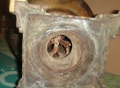 DSC00355.jpg