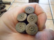 mini-SAM_3286.JPG