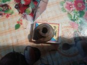 IMG_20210224_074412.jpg