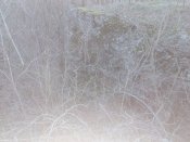 IMG_20210226_173746.jpg