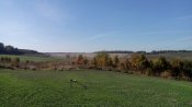 IMG_20141012_124136-min.jpg