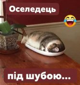 изображение_viber_2021-02-27_18-18-00.jpg