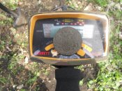 DSCN5626.JPG
