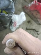 2C69F515-E5D5-4EC0-8409-D5C97CA0B646.jpeg