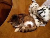 IMG_20210228_195806.jpg