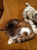 IMG_20210228_195821.jpg