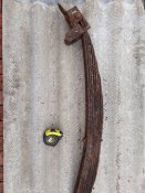 20210301_130619.jpg