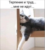 изображение_viber_2021-03-02_10-23-49.jpg