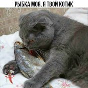 изображение_viber_2021-03-02_21-39-52.jpg
