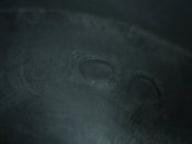 DSC07820.JPG