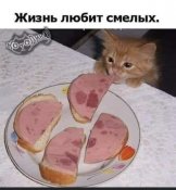 изображение_viber_2021-03-06_08-26-16.jpg