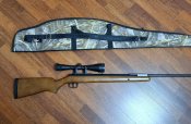 diana 350 magnum classic