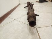 IMG_20210306_212916.jpg