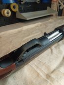 MVIMG_20210307_121901.jpg