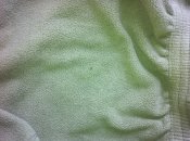 IMG_0941.JPG