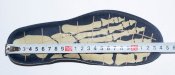 Nike 5M 07.jpg