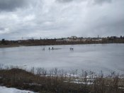 IMG_20210308_143136.jpg