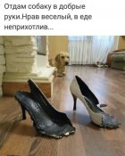 изображение_viber_2021-03-08_16-16-02.jpg
