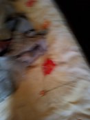 IMG_20210309_085740.jpg